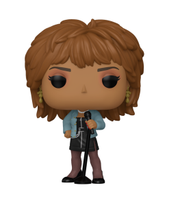 Pop! Tina Turner (What's Love)