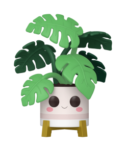 Alternative view of Pop! Plants Monstera