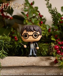Pop! Harry Potter